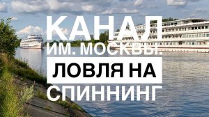 Ловля спиннингом на Канале имени Москвы. Как найти стоянку рыбы.