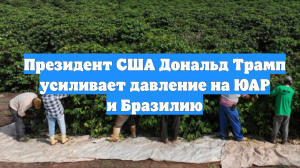 Президент США Дональд Трамп усиливает давление на ЮАР и Бразилию
