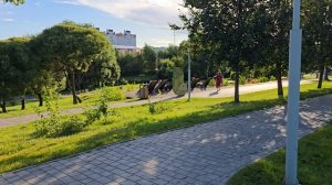 Муринский парк 08.25