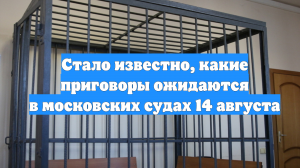 Стало известно, какие приговоры ожидаются в московских судах 14 августа