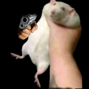 играю в игру в кальмара