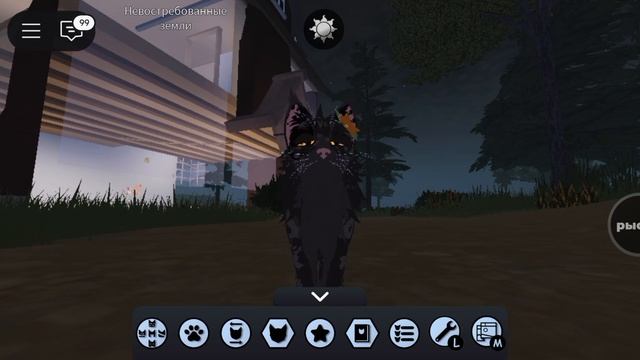 что делает старейшина и кто такая старейшина