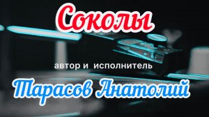 «Соколы» автор и исполнитель Анатолий Тарасов г.Санкт-Петербург