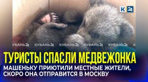 Найденного туристами медвежонка приютила семья из Апшеронского района