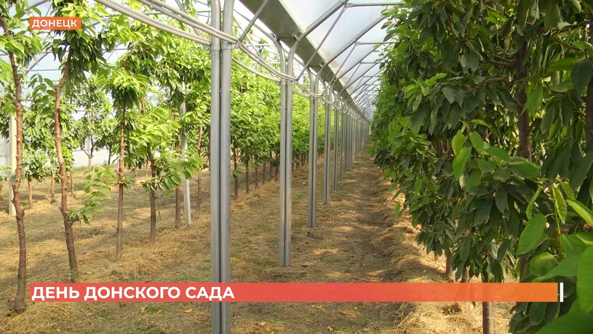 Первый День донского сада