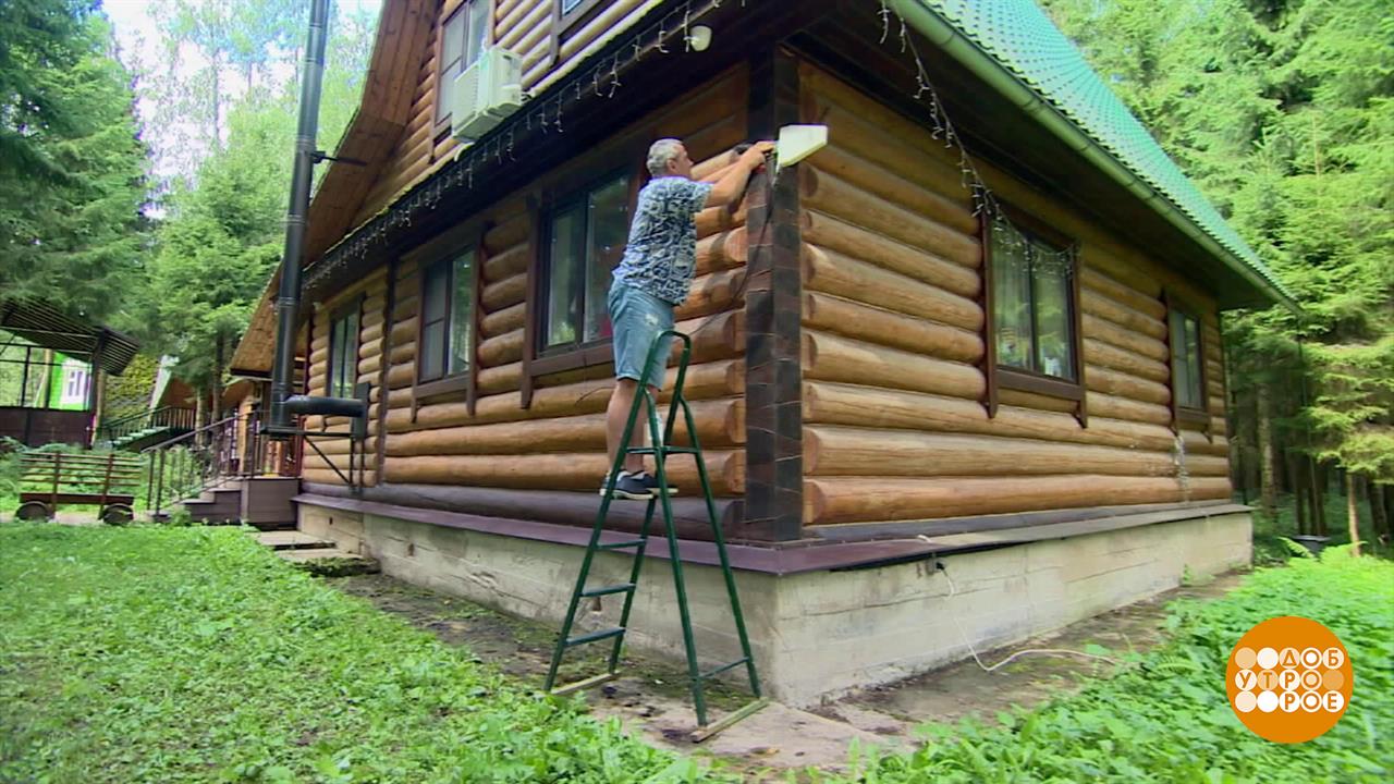 Сигнал слабоват? Усилим! Доброе утро. Фрагмент выпуска от 14.08.2025