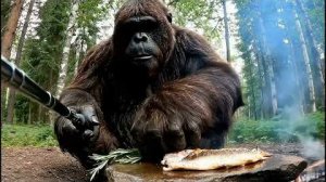 Bigfoot Donny. Первый влог. Утро в лесу, кофе и грибы