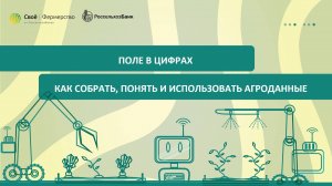 Поле в цифрах: как собрать, понять и использовать агроданные