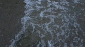 море...лето..