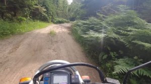 193 км вдвоём на Yamaha TTR250 - возвращение через лес