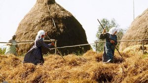 Особый русский праздник 15 августа — Степан Сеновал: история, традиции, приметы