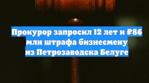 Прокурор запросил 12 лет и ₽86 млн штрафа бизнесмену из Петрозаводска Белуге