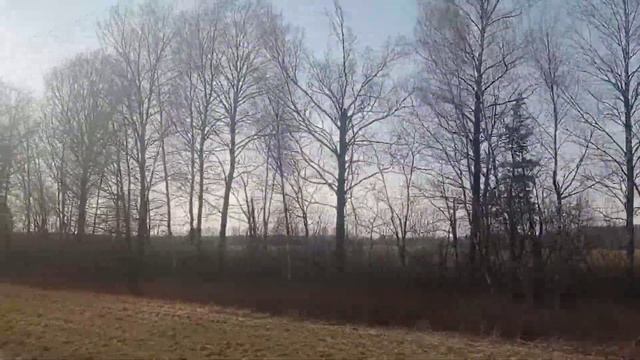 Ивьевщина из окна поезда смотреть онлайн