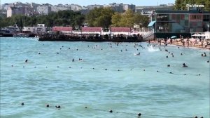 ГЕЛЕНДЖИК Центральный пляж сегодня 14 августа 2025. Море и погода в Геленджике сейчас. Обстановка