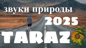 Звуки природы 2025