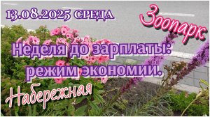 13-08-2025 Неделя до зарплаты: режим  экономии.