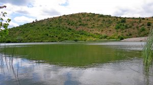 Красивый июнь на Горлинском водохранилище.