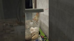 план побега