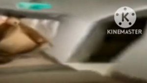 Медведь бежит мем жмых