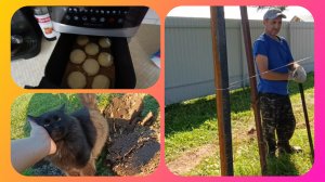 Сырники в аэрогриле.Убираю старые грядки