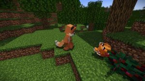 Кларк и дикая лиса