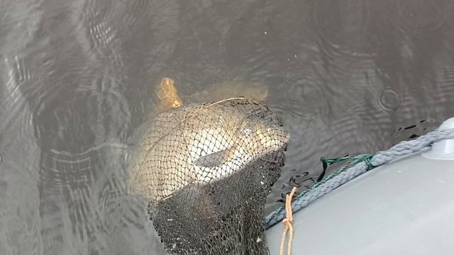 Побольше бы таких "лопат". смотреть онлайн