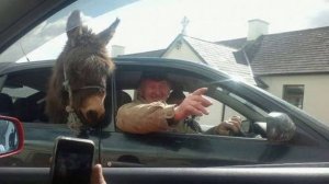 ✔️ СУПЕР НАРЕЗКА ПРИКОЛОВ И НЕУДАЧ 2025 СМОТРЕТЬ ВСЕМ ЧАСТЬ 139