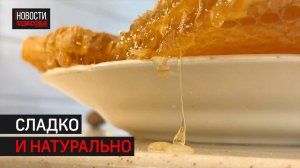 Как создают правильный мёд на подмосковной пасеке // 360 Одинцово