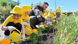 «Роснефть» высадила 37 млн деревьев и сократила потребление воды