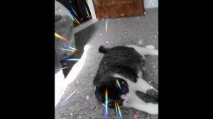 Кети играет ивектом 👍😎