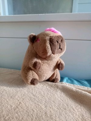 играем в майн