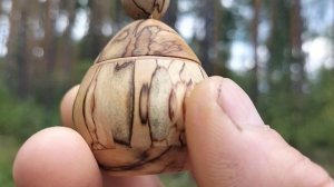 Шкатулка в августовском лесу с цветами