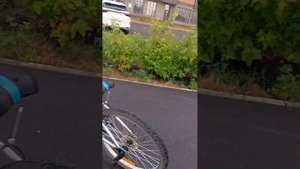 Кладём ментом в колу 0.5 л