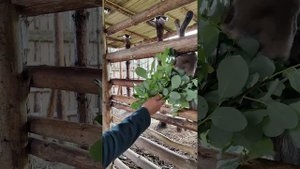 Поездка в Карелию!