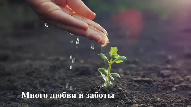 Фито светильник ЭРА FITO-16W-Т5-N смотреть онлайн