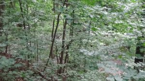 Белгород харьковская гора белгородские блогеры остановка армячий лог белгород