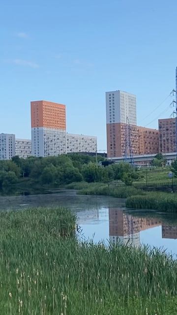 Live Journal - Солнцевский Заводской пруд (Москва, Говорово. 18.07.2025)