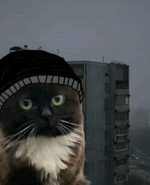 Тима Tegler Панковка