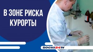 В Сочи изъято почти 44 тыс. л суррогатного и контрафактного алкоголя
