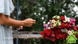 Эко букеты, полевой букет, цветы