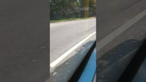 Поездка на автобусе номер 325 Ул Машиностроителей Жд Г Павловск борт (6550) 2 часть