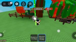 Вырасти сад 🥕