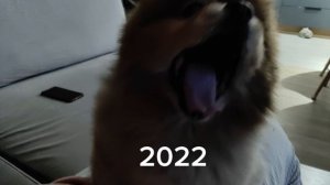 Дубль 2 как менялся Айко 2025-2019