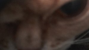 сорян,сегодня видео не будет.