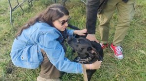 Тамбовский Волк 🐺 Тамбов @ Моя Жизнь Кино @ Музей Псов