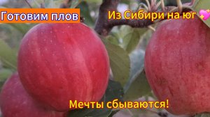 Переезд из Сибири на юг/ Купили дом на юге / Готовим плов/Яблочки спеют/