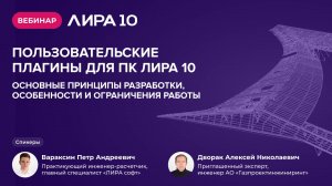 Вебинар: Пользовательские плагины для ПК ЛИРА 10.