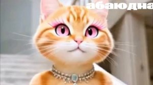 КАТ - КАТ 👍🔥🩷😻😻😻КОТИКИ #котики