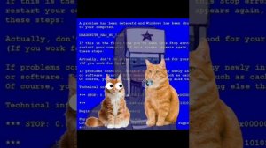 анонс новой рубрики на канале