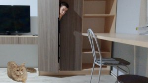 Я нашёл САМОЕ ЧИТЕРСКОЕ МЕСТО! Кошка меня НИКОГДА НЕ НАЙДЁТ! **Слежу за АСЕЙ**